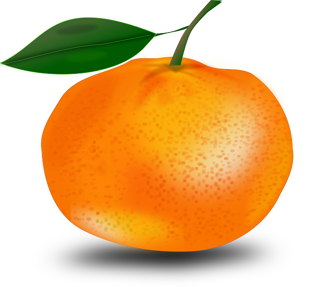 tangerine orange mandarin vector graphic pixabay #15347