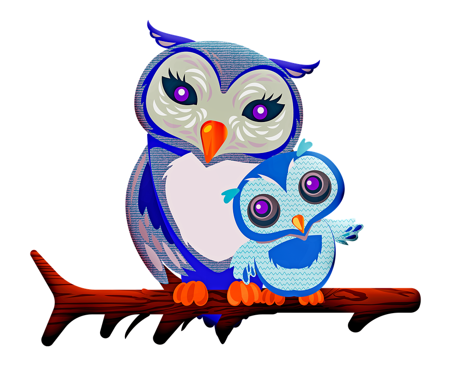 owl mother baby image pixabay #29003