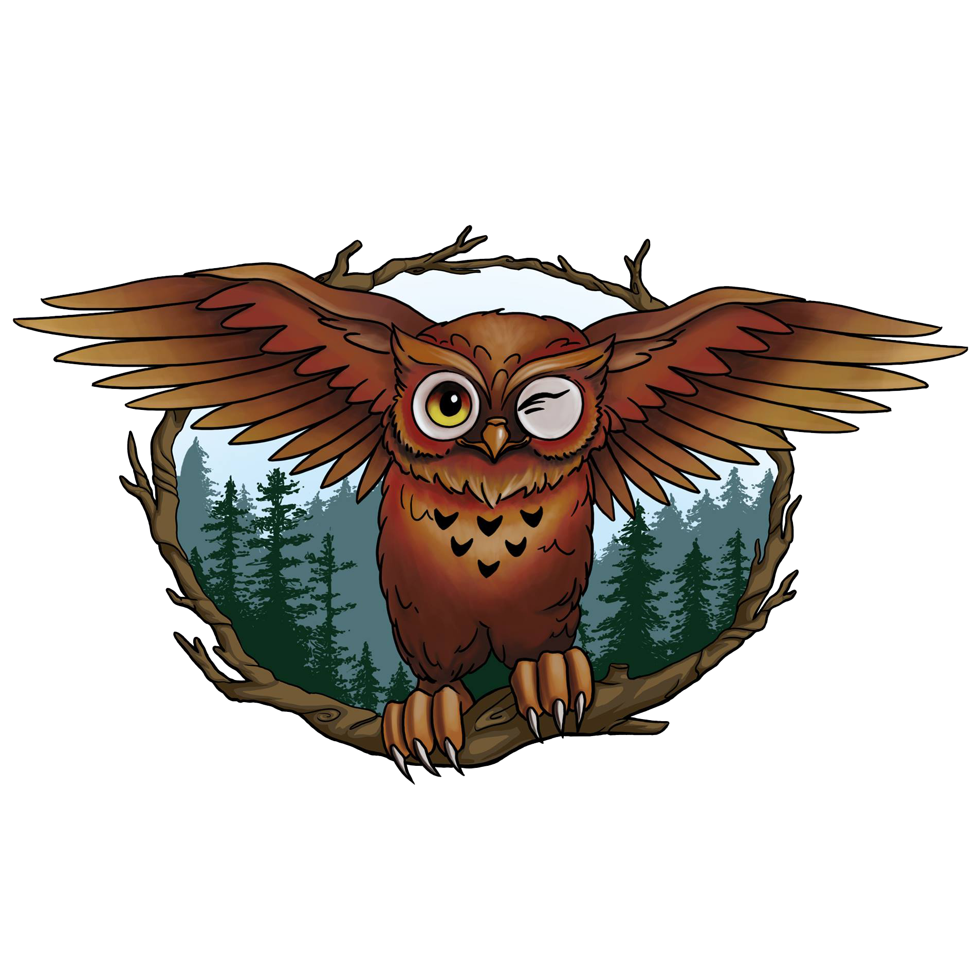 owl from the wild transparent png #28962