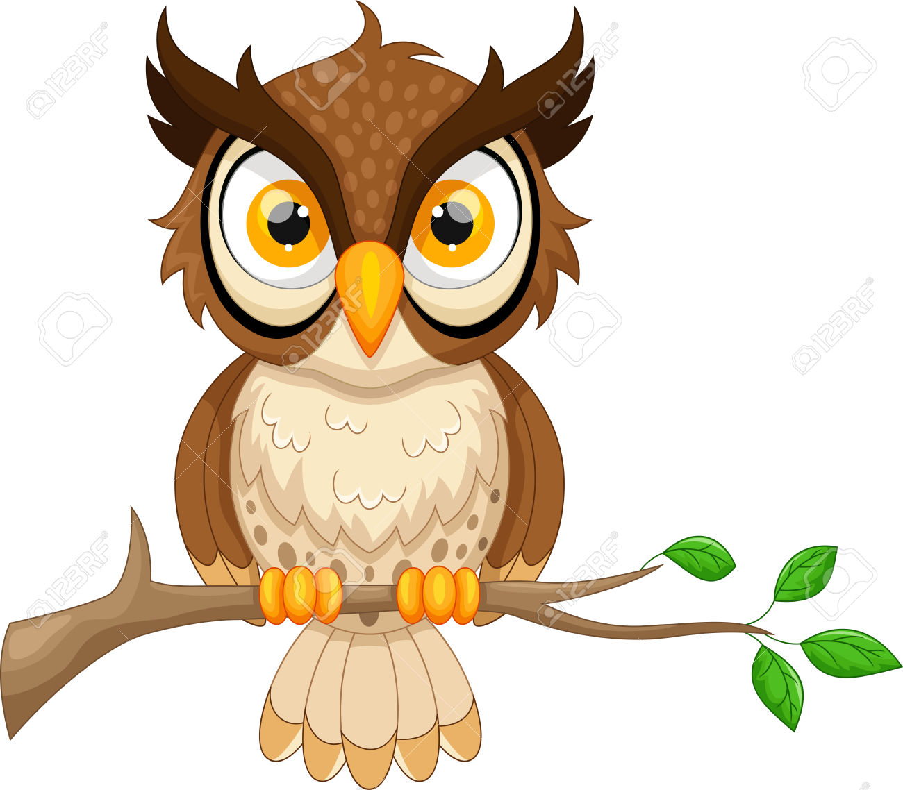 brown hawk owl clipart wisdom pencil and color brown #31641