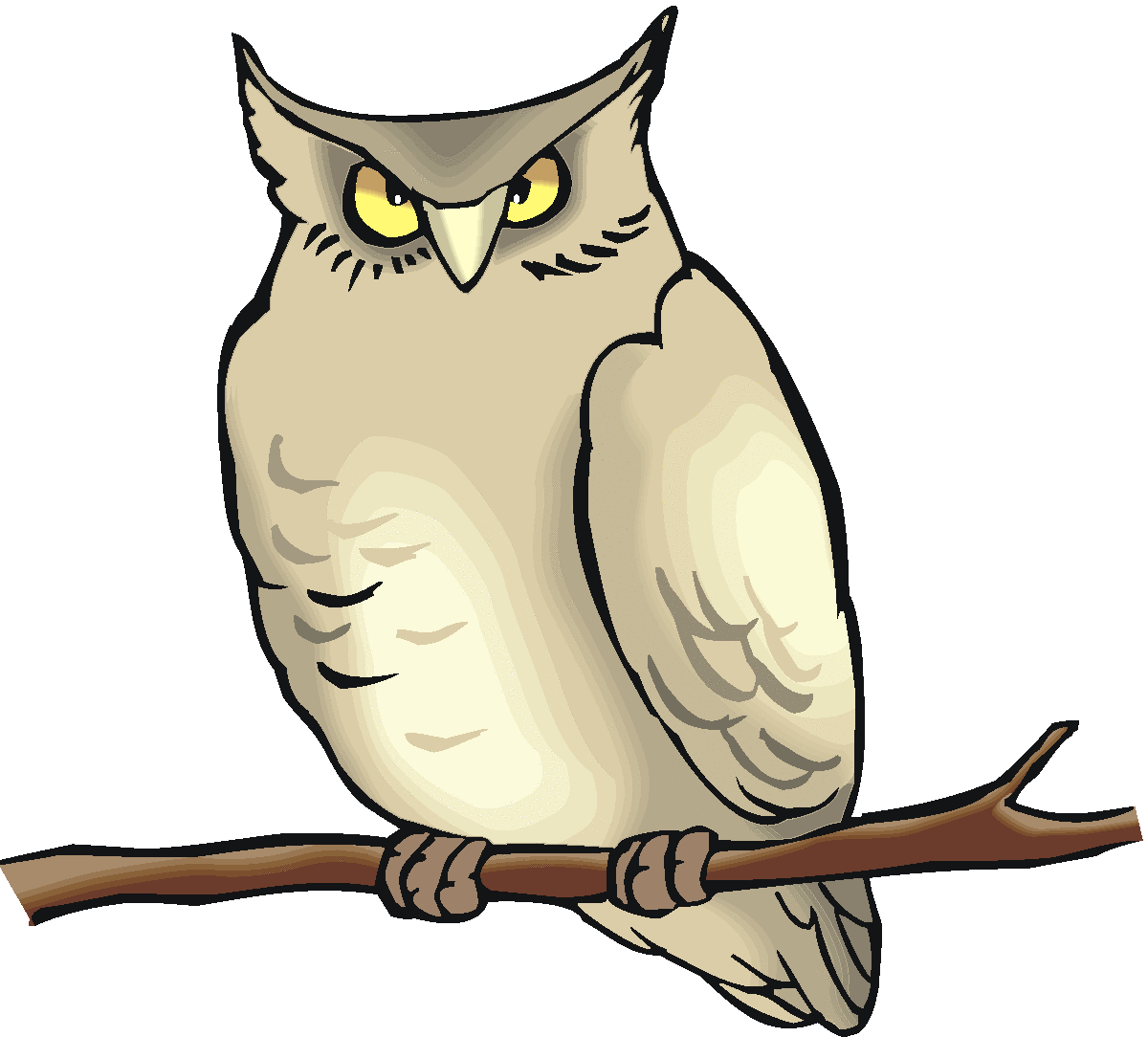 owl clipart #31628
