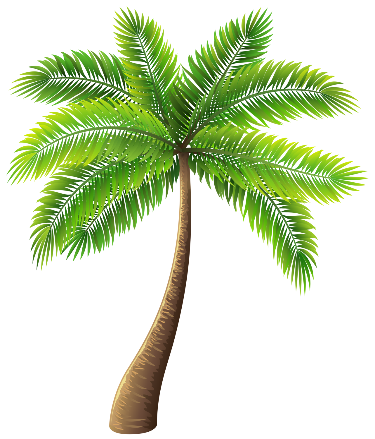 Palm Trees png download - 1630*2000 - Free Transparent Cactus And