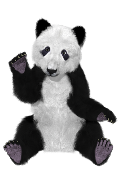 illustration panda china bear furry big bear #19831