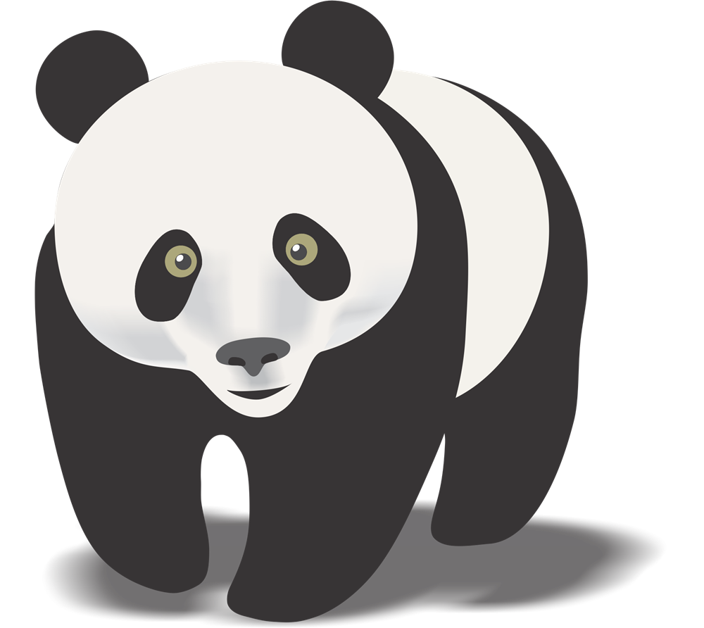 Pandas Desenho Png - Urso Panda Desenho Png - Free Transparent PNG