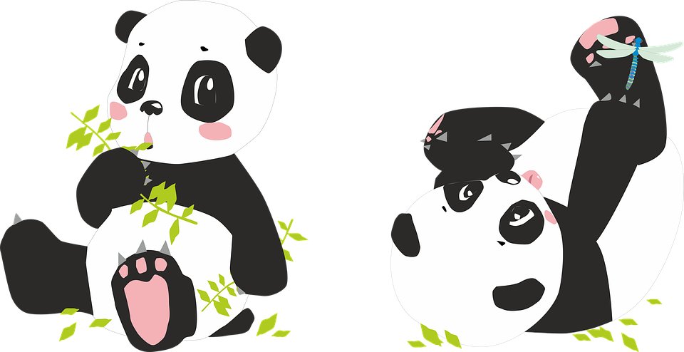 Panda PNG Animal Images, Panda Bear, Cute Panda, Baby Panda Download - Free  Transparent PNG Logos