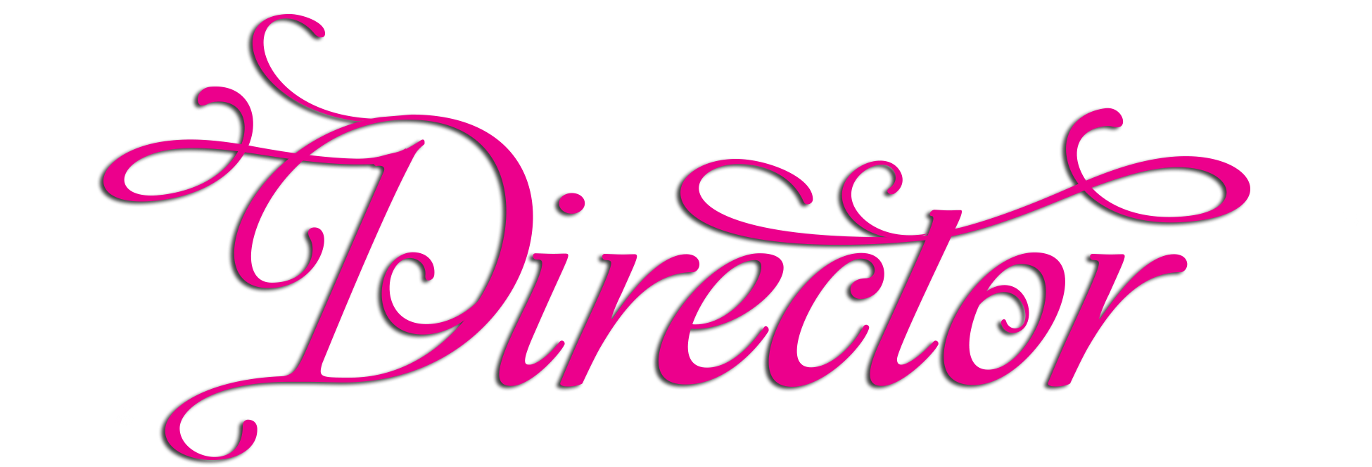 paparazzi accessories director logo