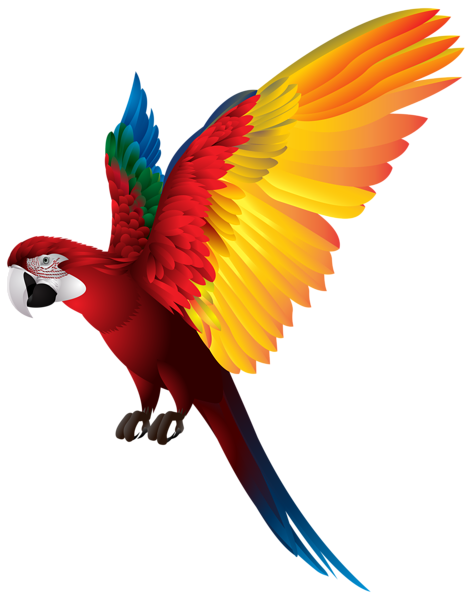 Details 200 transparent background parrot png