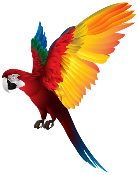 pin ulla therstr glar parrot parrot #20129