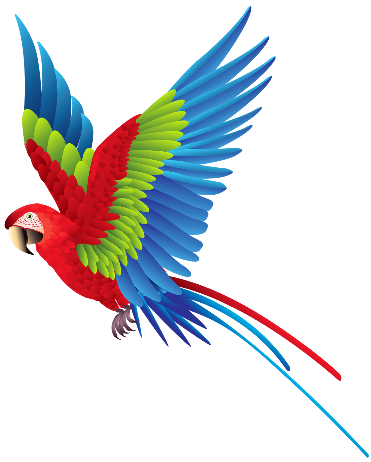 quality flying parrot clipart png images #20122
