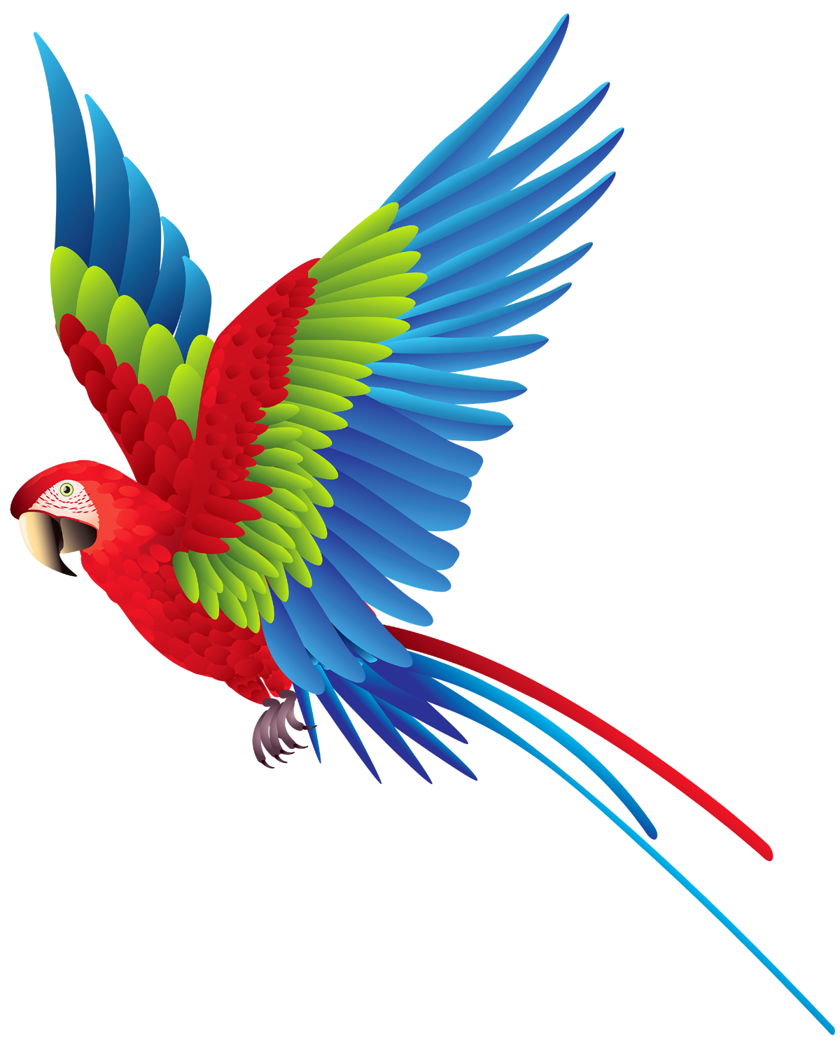 Parrot Png Images Flying Green Pirate Parrots Transparent Free