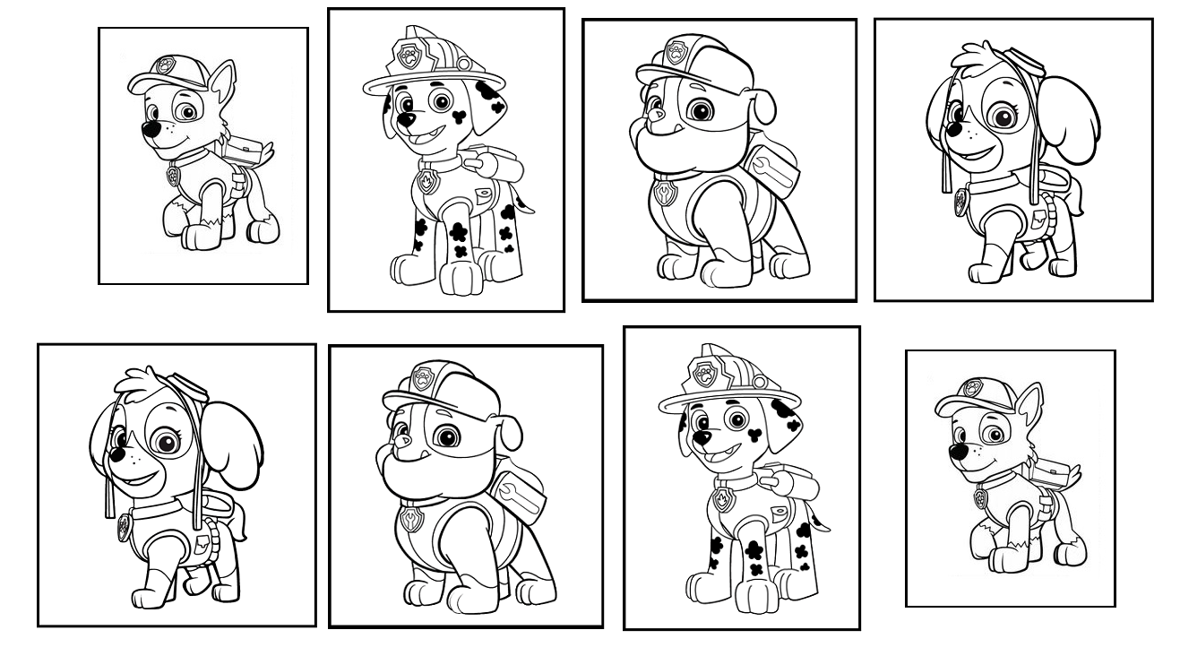 paw patrol badge colouring pages #2649