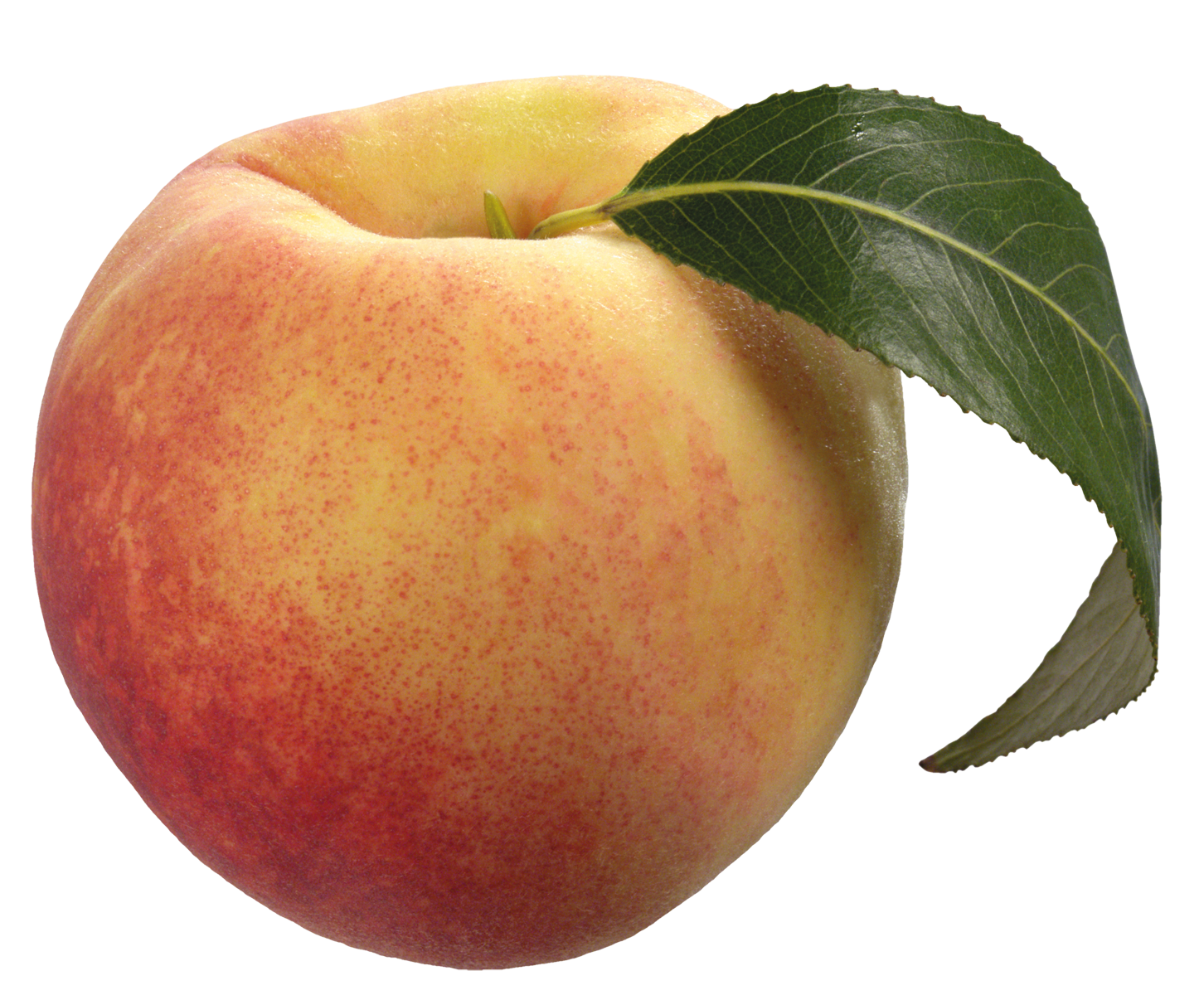 download peach download png transparent png #34573