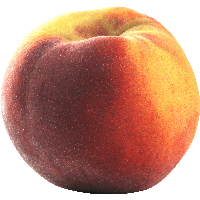 download peach png photo images and clipart pngimg #34589