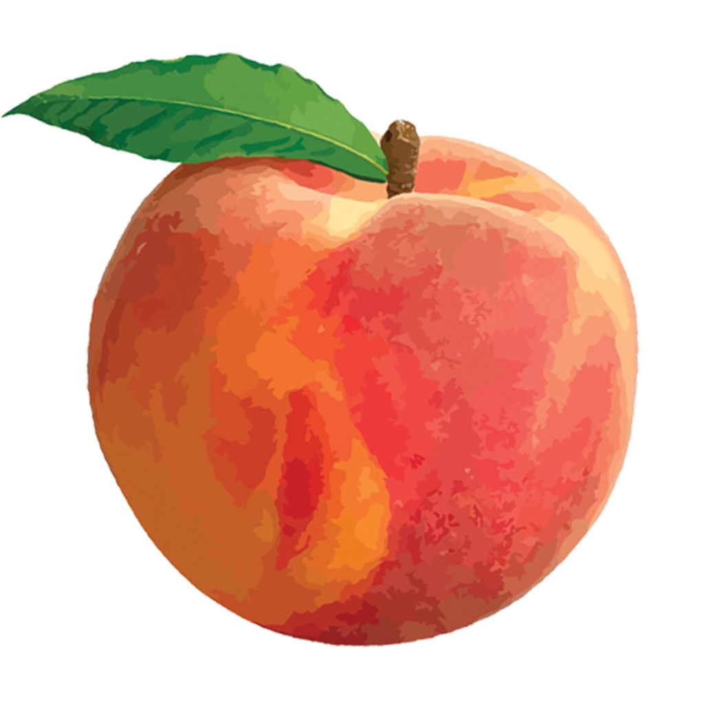 download peach png png image pngimg #34497