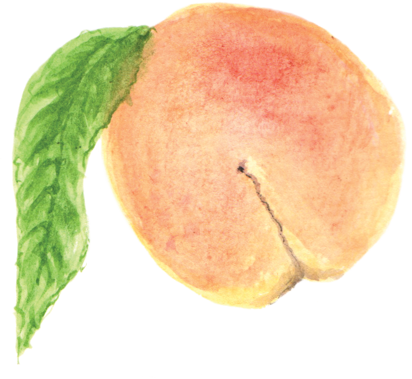 transparent peach hd png image #34596