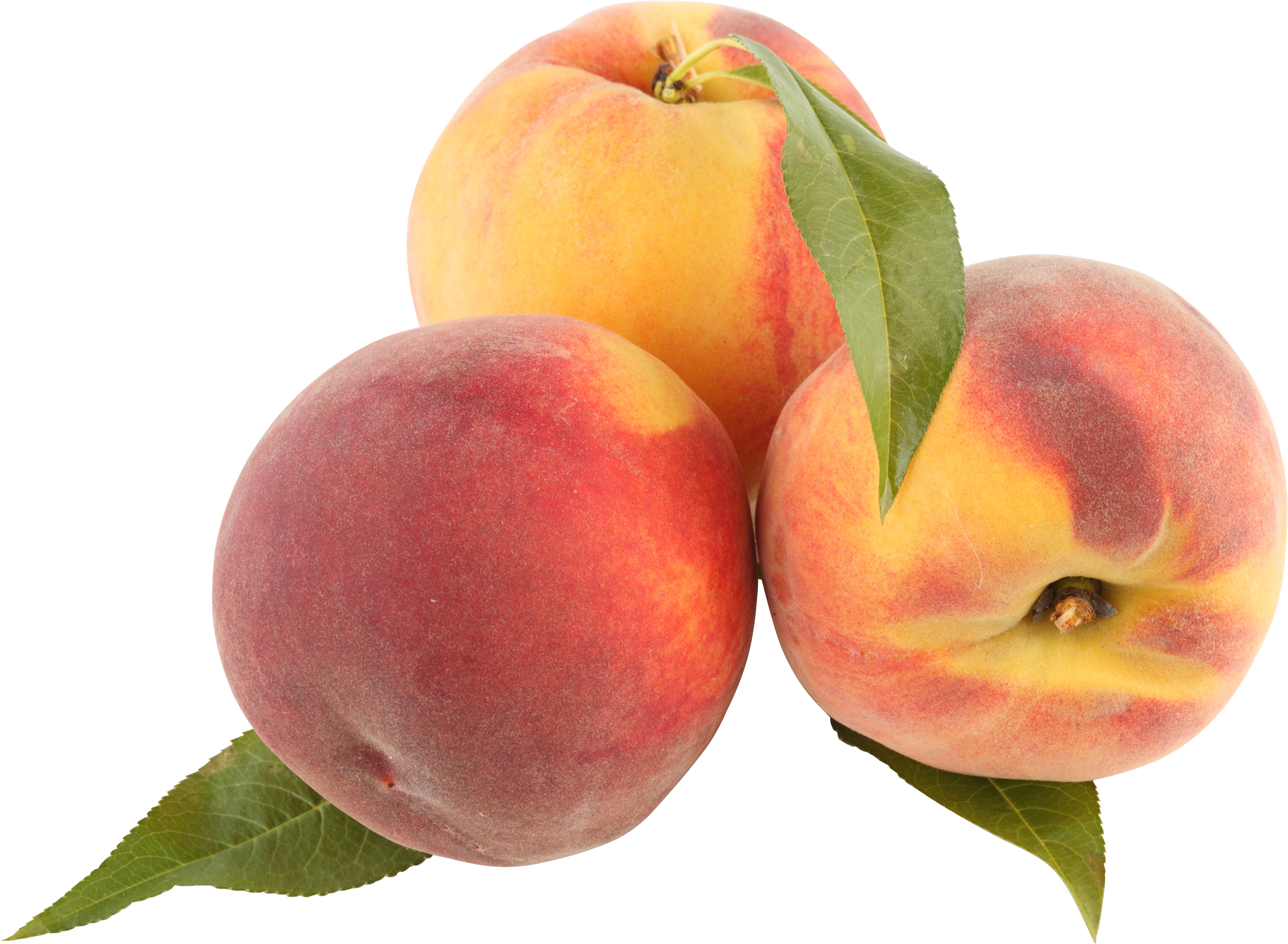 peach peaches png image purepng transparent png #34488