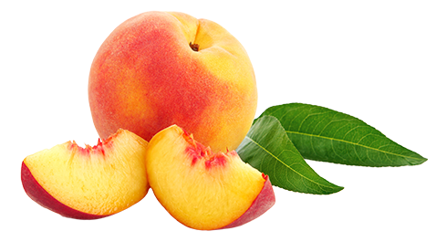 peach peaches westmoreland berry farm #34499