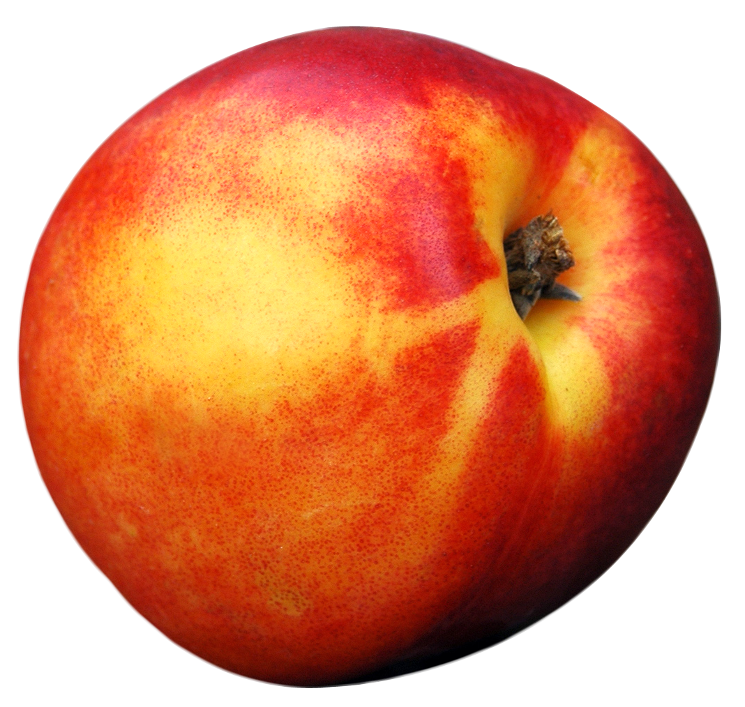 peach png image pngpix #34524