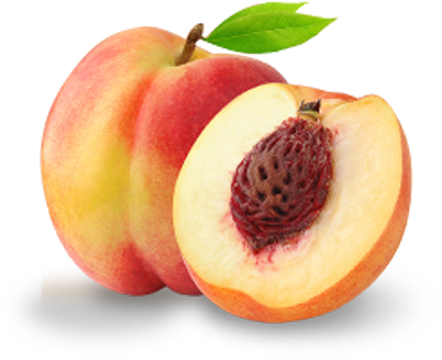 peach slice png truly peach icons and png #34591