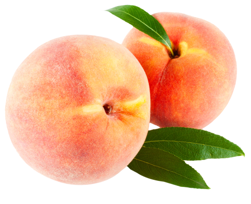 peach with leaves png image pngpix #34564