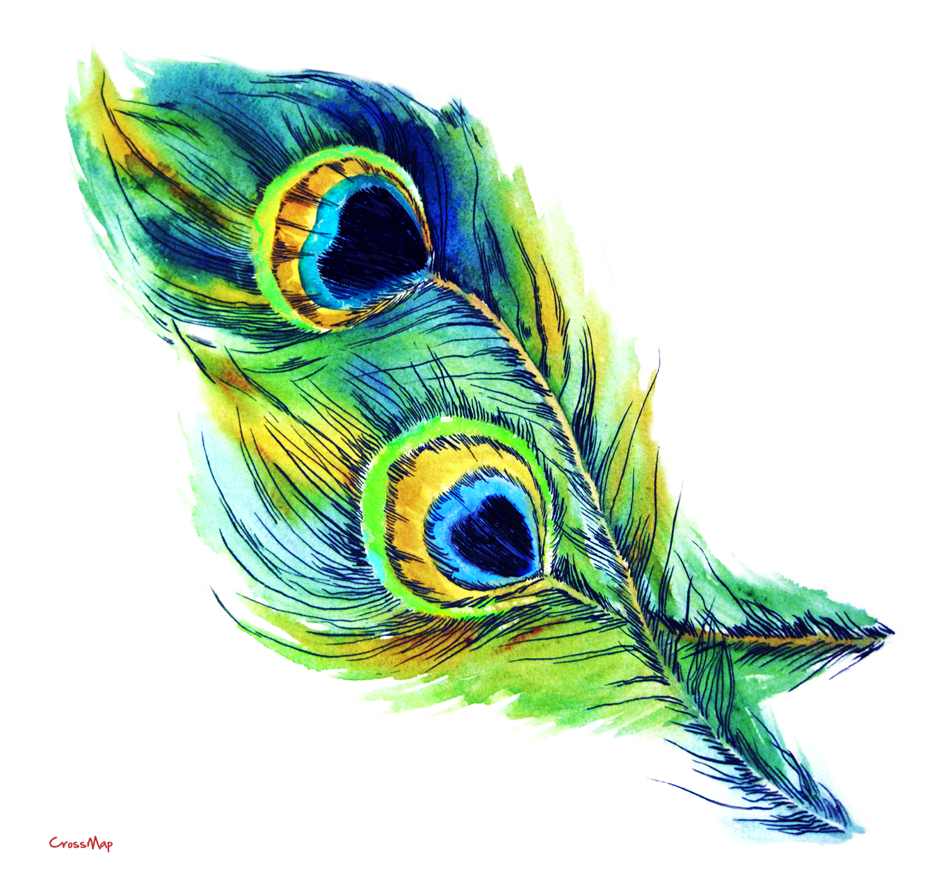 peacock, mor pankh clipart png collection #20811