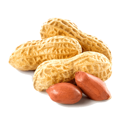 peanut, nuts transparent png images stickpng #30234