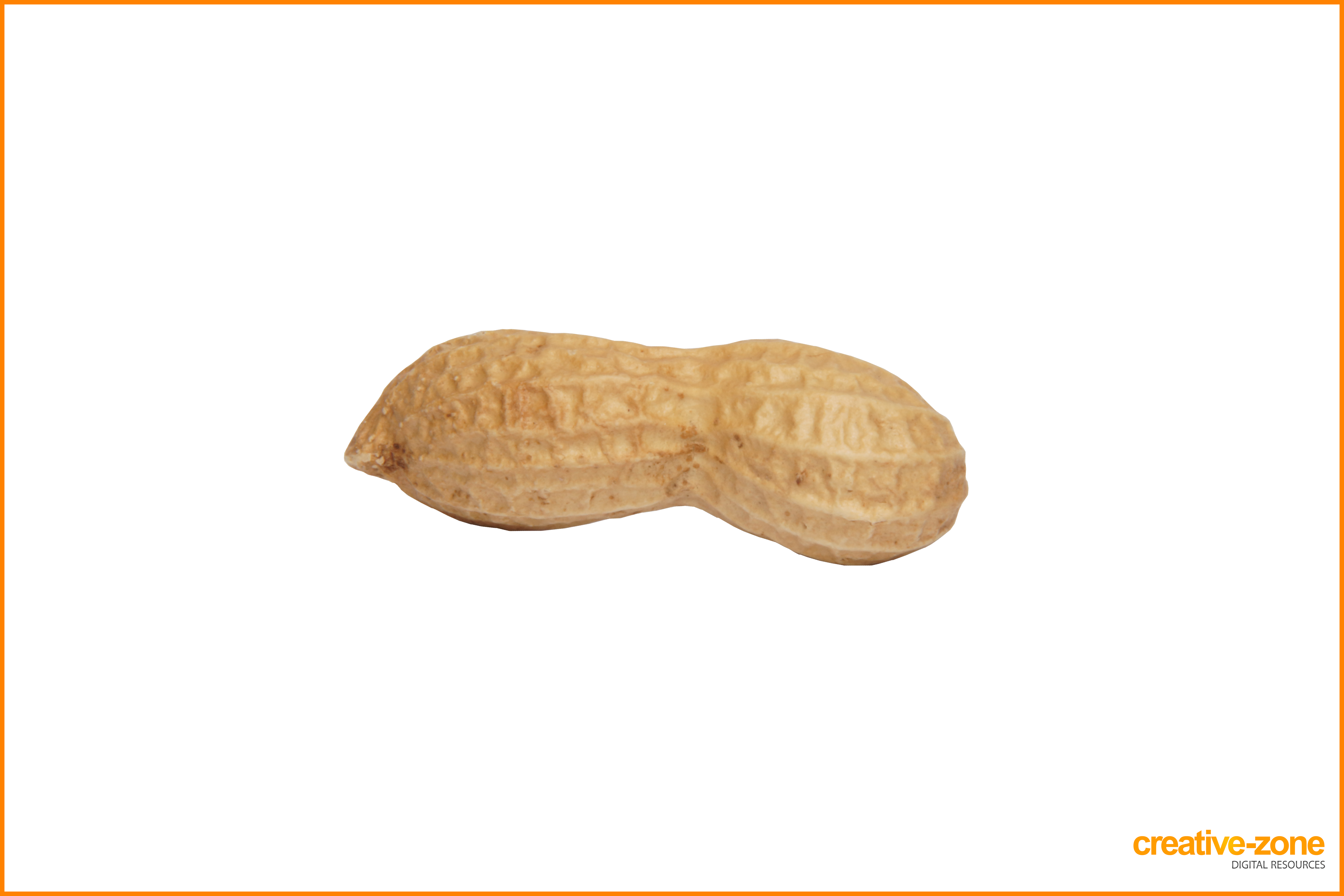 peanut, peanuts arachis creative zone #30099