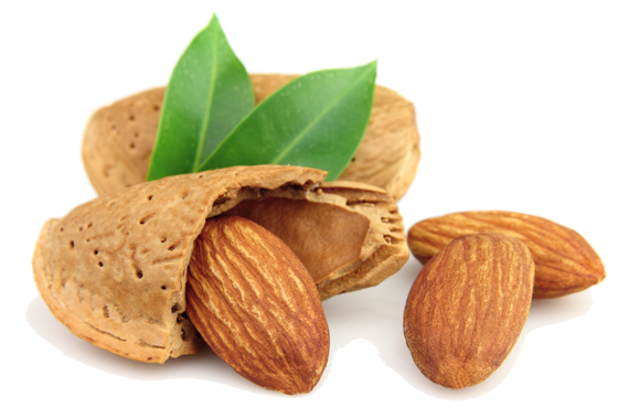 peanut, tree nuts processing equipment #30087