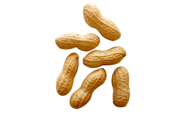 peanut, virginia peanuts wilco #30096