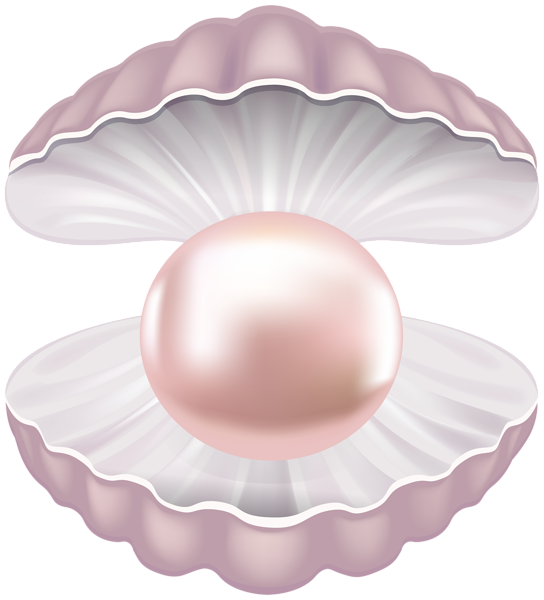 pearl shell transparent png clip art image gallery #23403