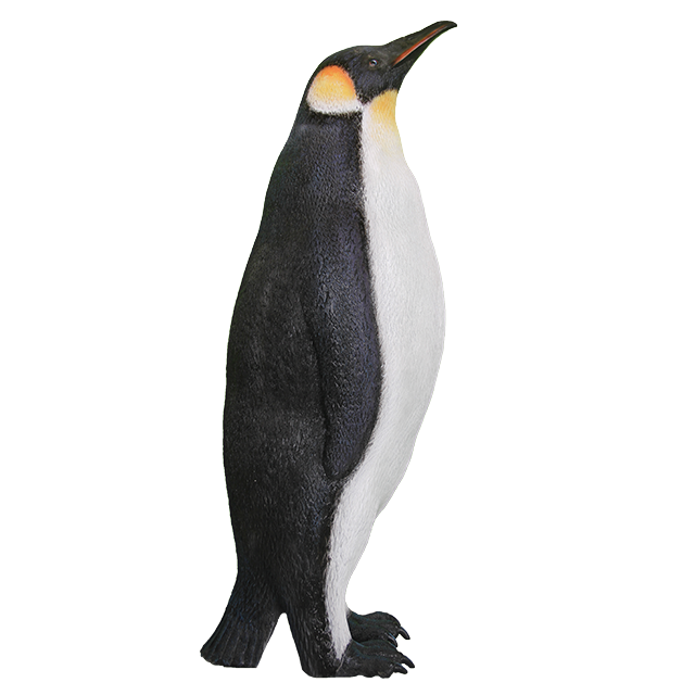 download penguin png transparent clipart images images #35568