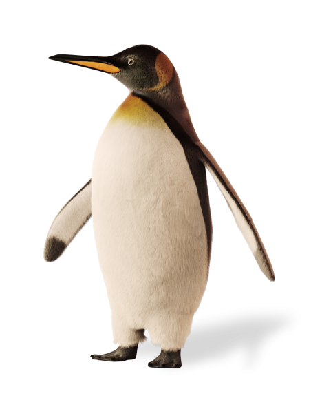 meet the penguin care connect home care services #35579