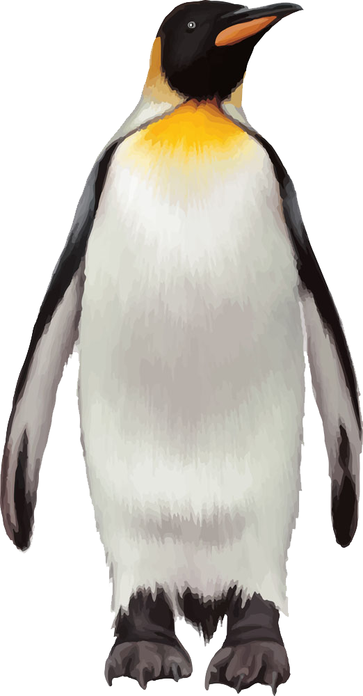 penguin transparent background png png arts #35604