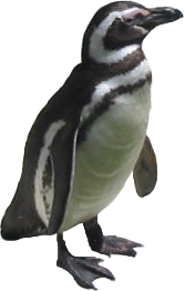 penguin tux paint stamp browser animals #35557