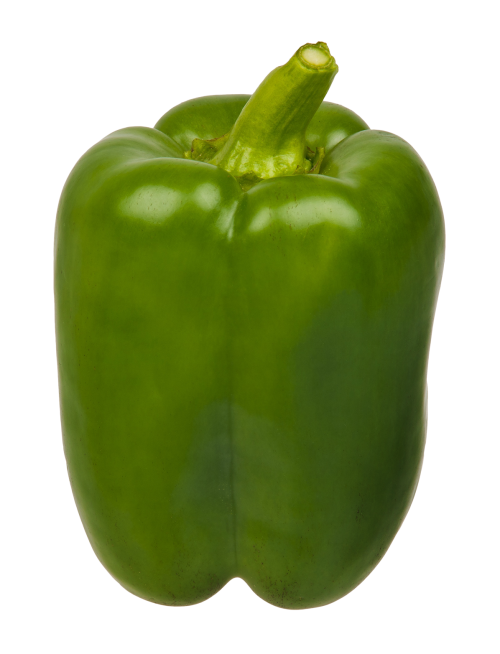 green bell pepper png image pngpix #22983