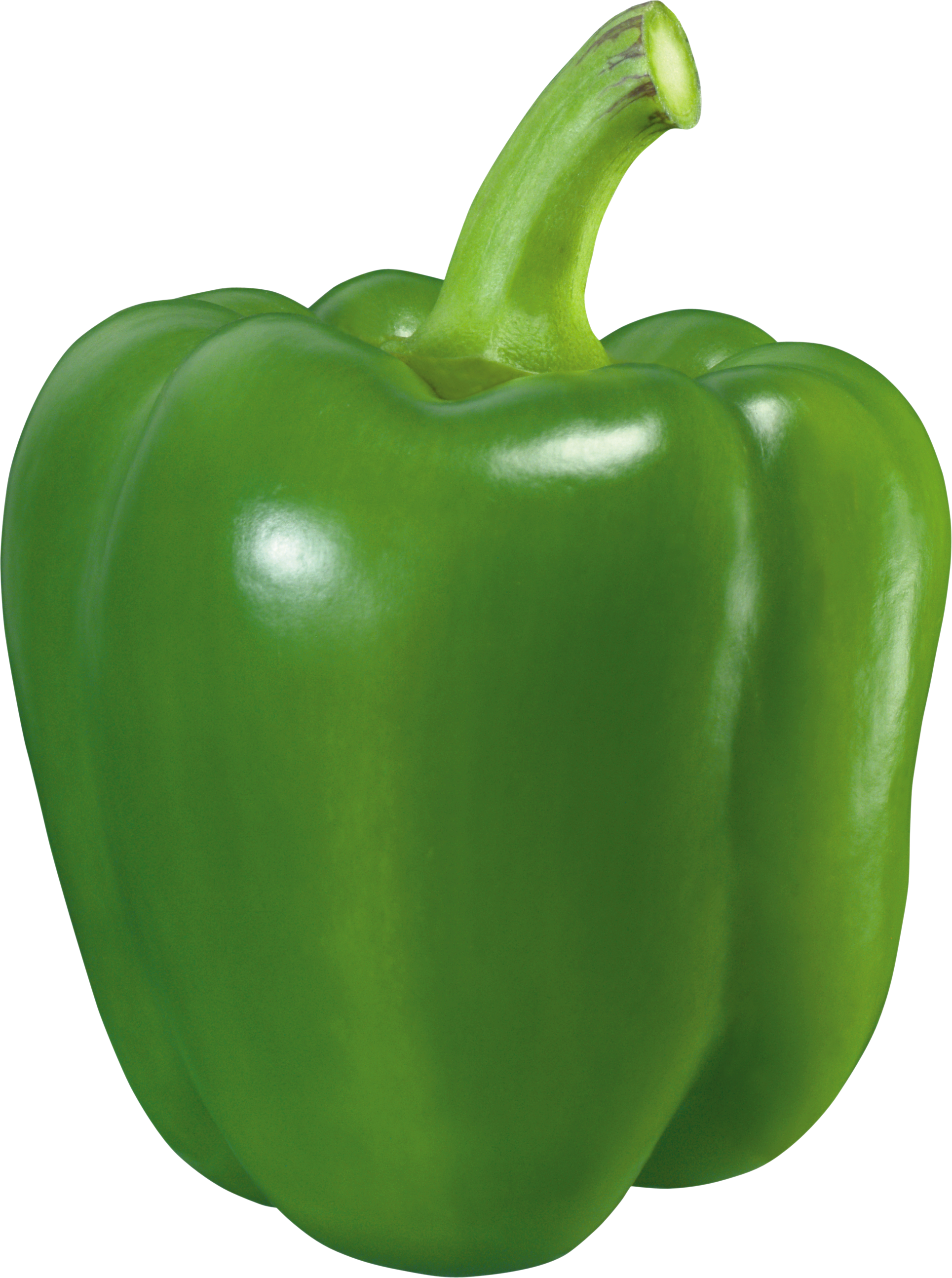 green pepper png image purepng transparent #22932