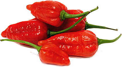 pepper, series spicy foods the garden blog #22910