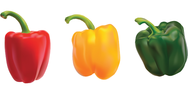 peppers bell pepper sweet vector graphic pixabay #22948