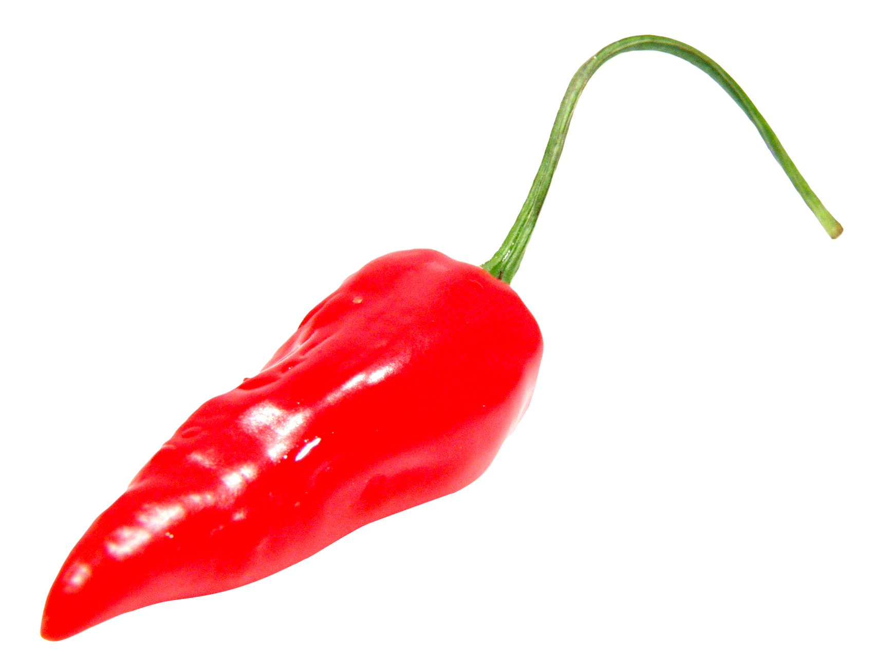 red chili pepper png image png transparent best photos #22875