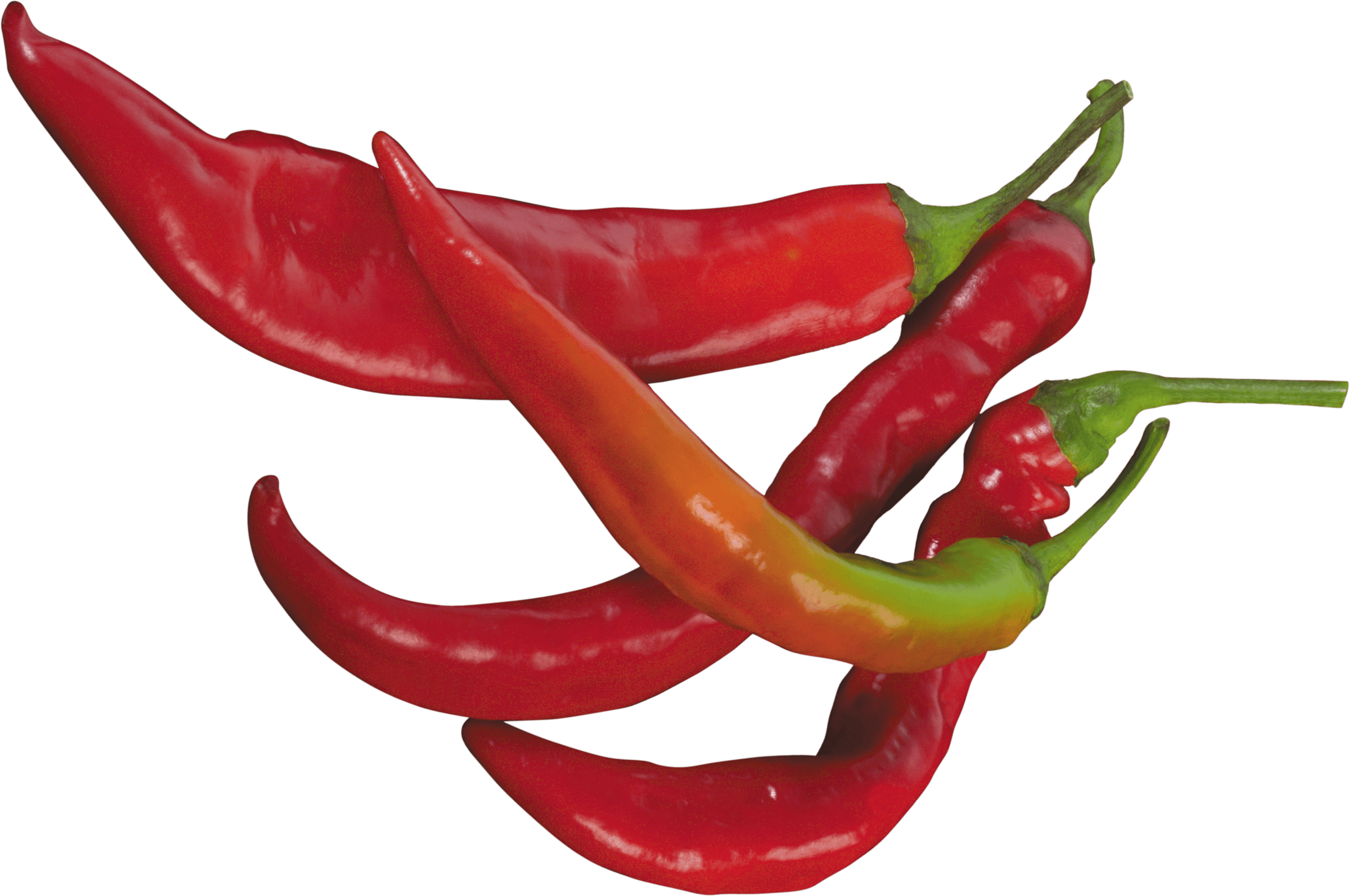 red chilli pepper transparent png stickpng #22964