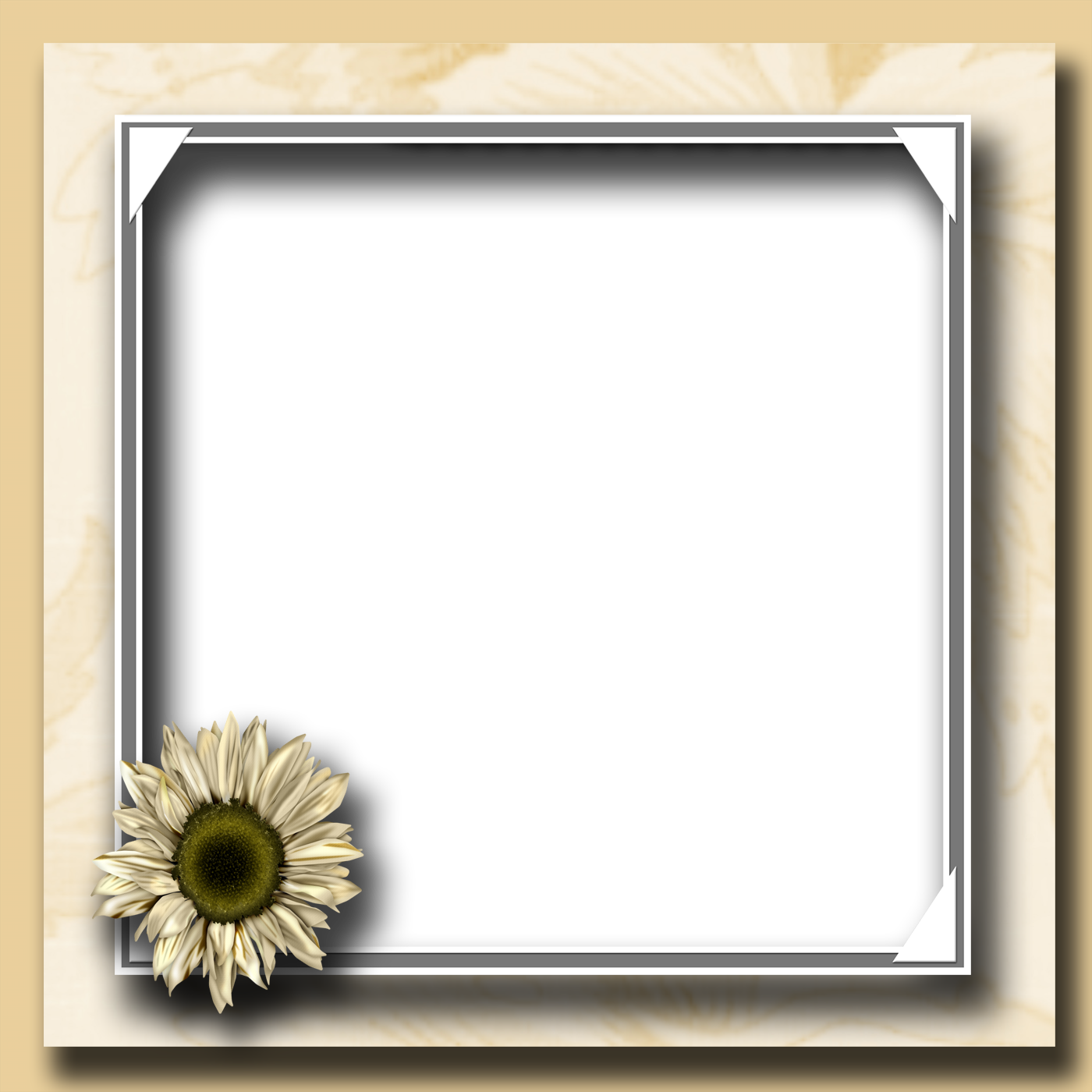 flower photo frame png icons and png backgrounds #27887