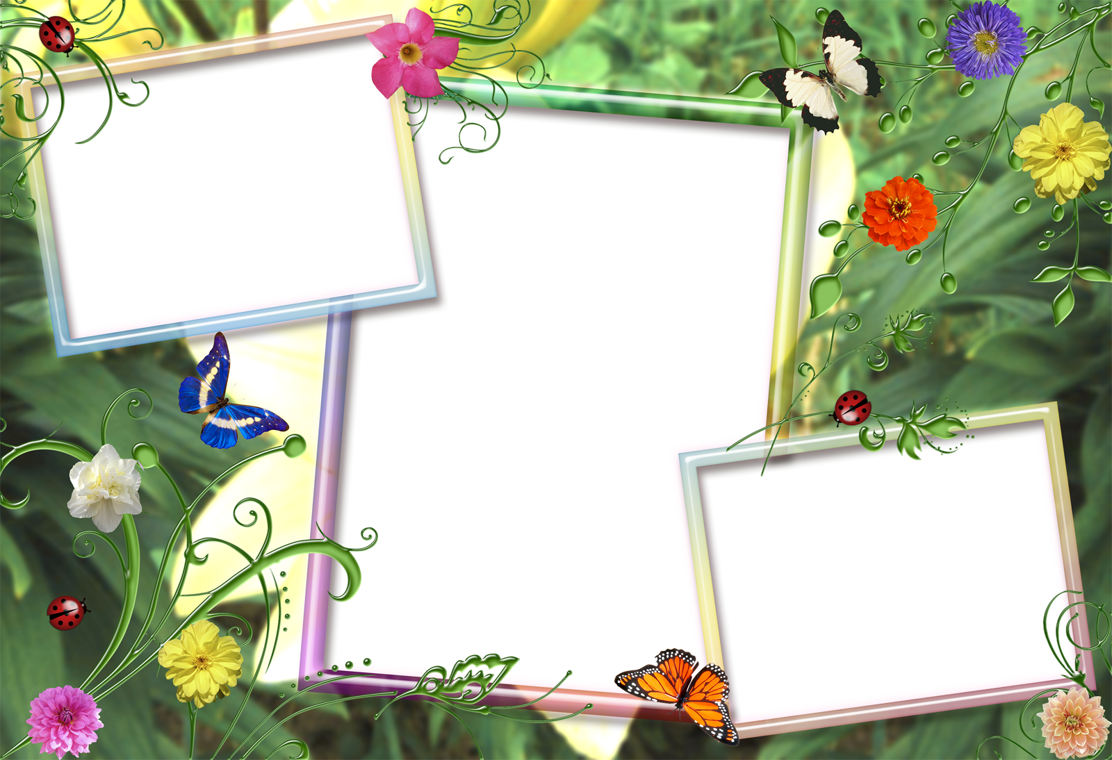 Photo Frame Png - Phutthamonthon Transparent PNG - 621x870 - Free Download  on NicePNG