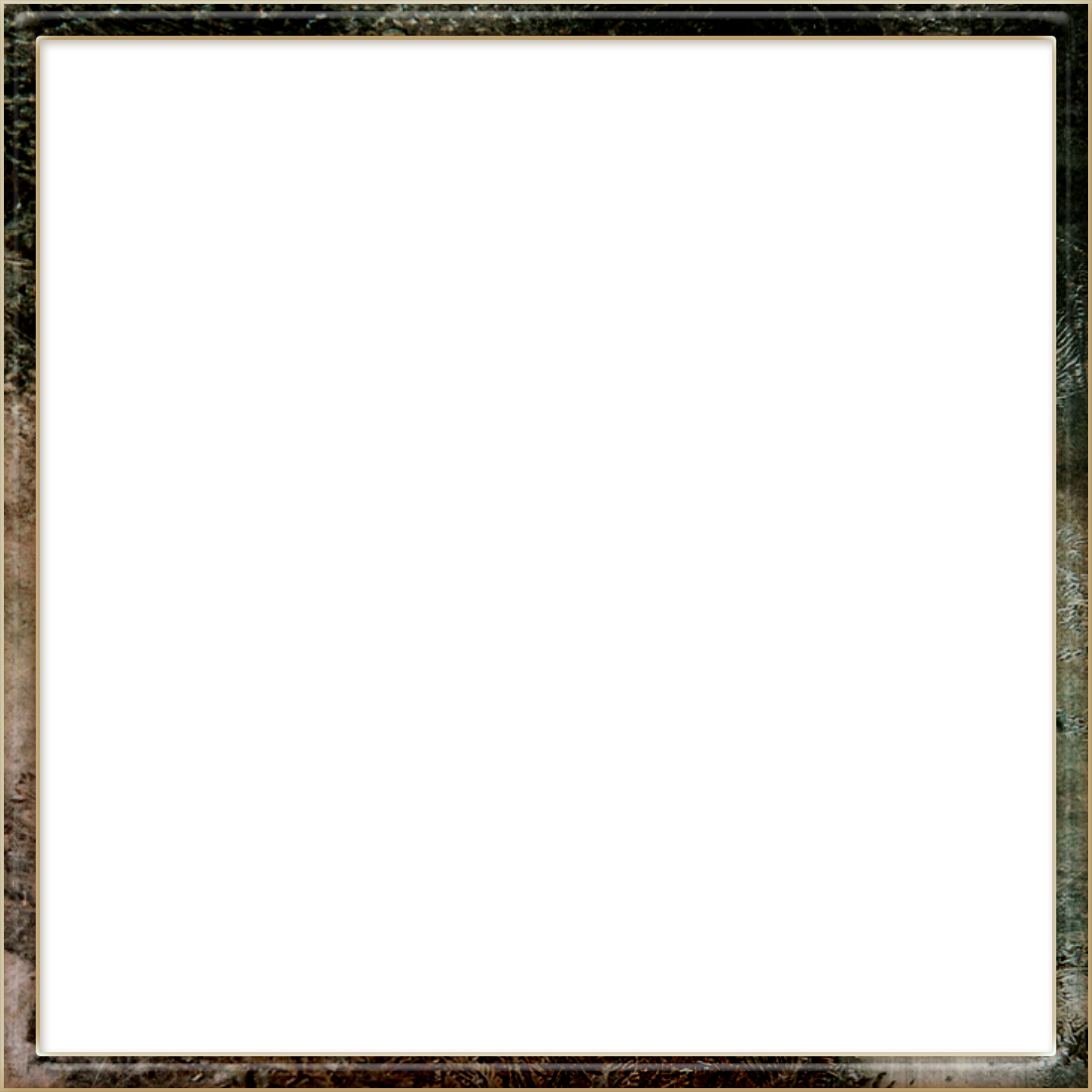 Photo Frame PNG Pictures, Love, Black, And Modern Frames Free Download