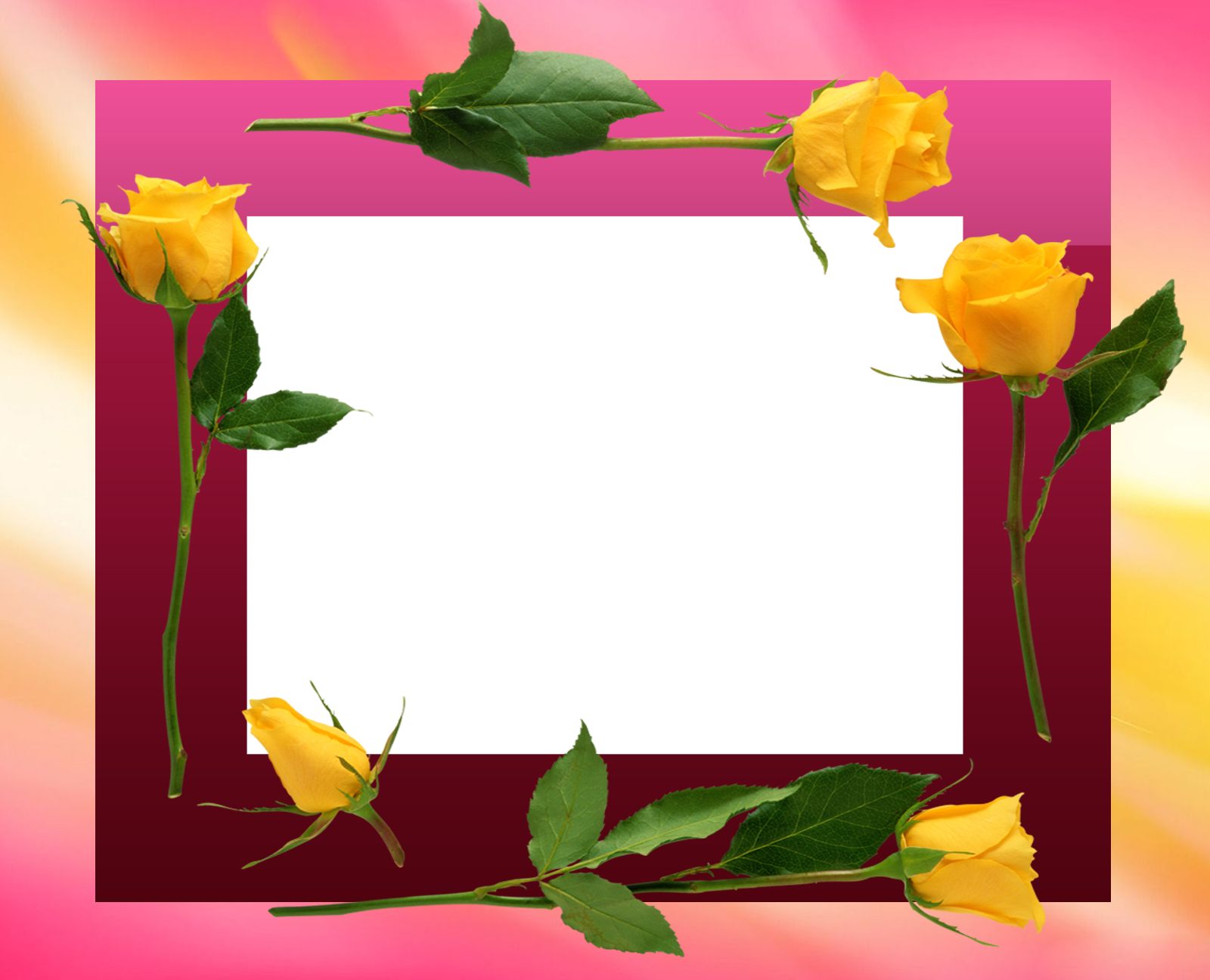 photoshop frames wallpapers designs flower frame #27919