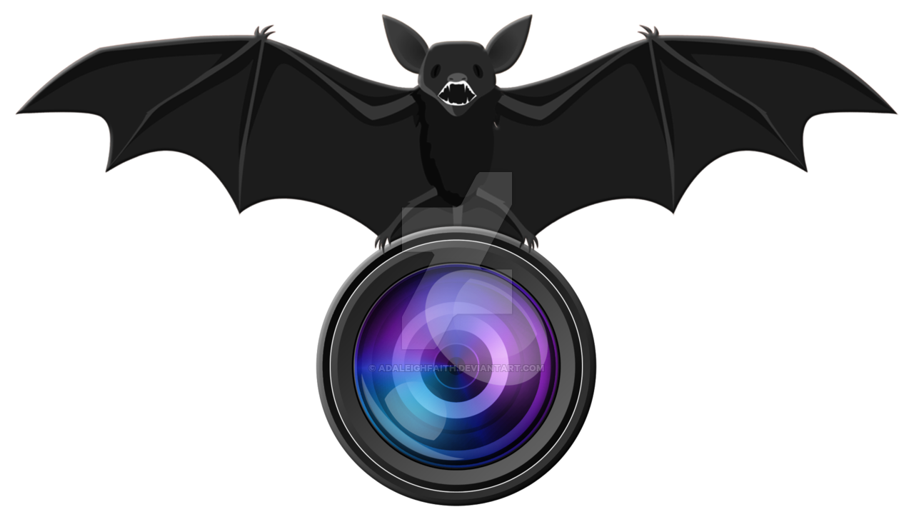 bat and camera lens logo png #25097