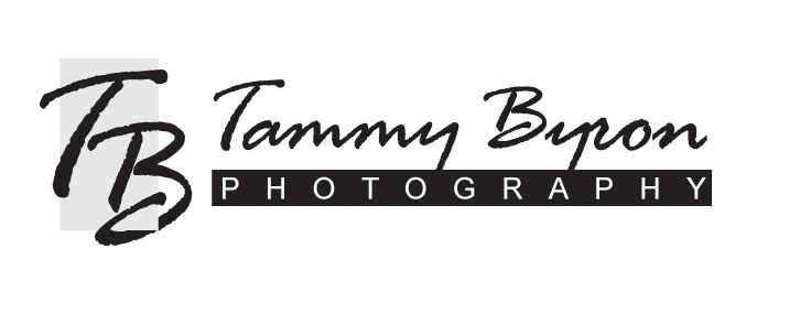 tommy bryson photography logo branding ideas #25078