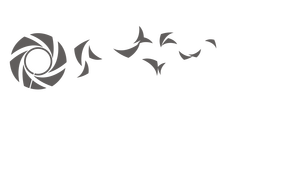 jacques strydom photography ideas logo png #25072