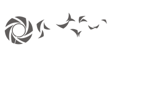 Logo Photography