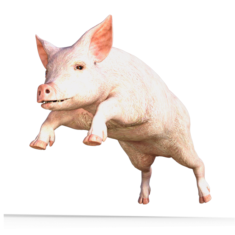 Roblox Pig transparent PNG - StickPNG