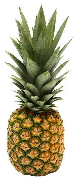 pineapple, ananas png images pngpix #18406